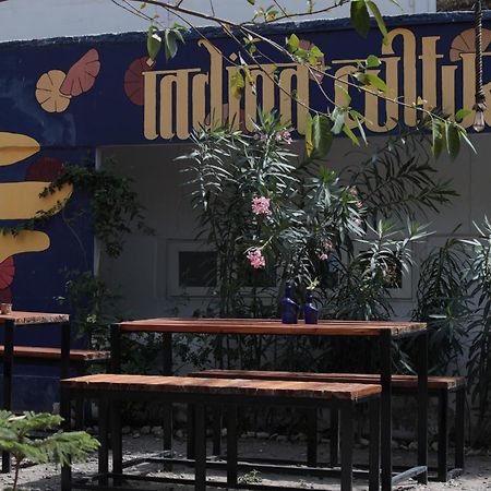 Rishīkesh Indian Culture旅舍 外观 照片